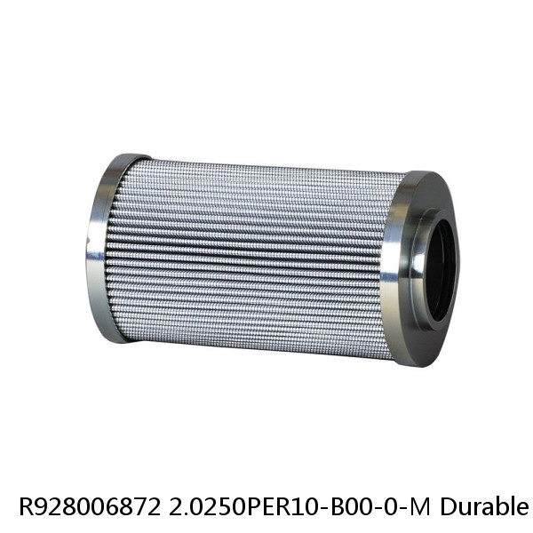 R928006872 2.0250PER10-B00-0-M Durable Rexroth Filter Element