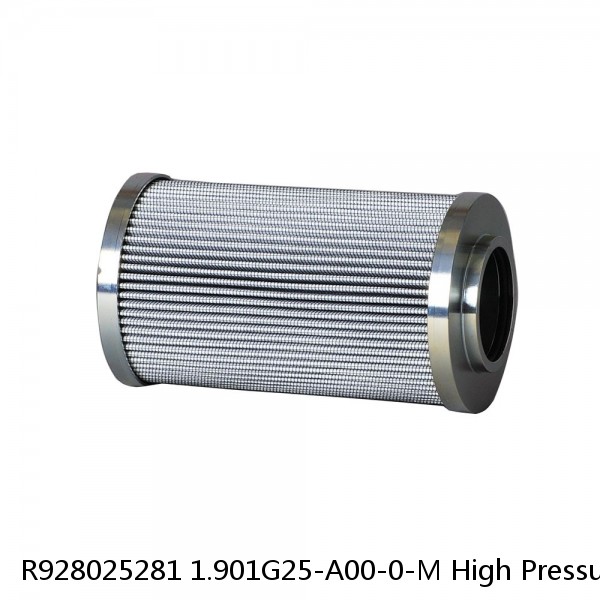 R928025281 1.901G25-A00-0-M High Pressure Rexroth Filter Element