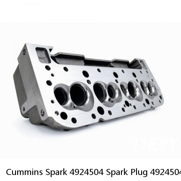 Cummins Spark 4924504 Spark Plug 4924504