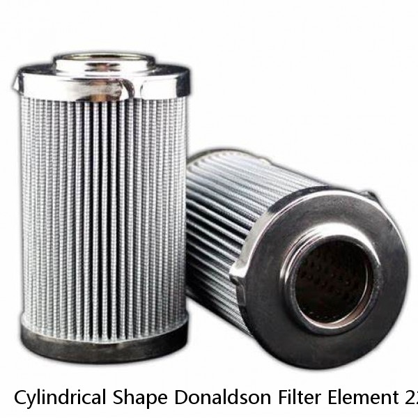 Cylindrical Shape Donaldson Filter Element 22 Inches Long Filter Cartridges
