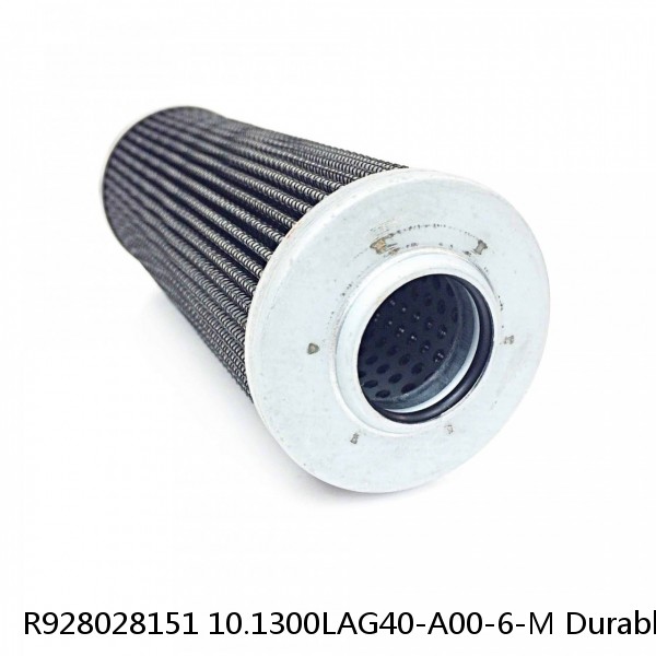 R928028151 10.1300LAG40-A00-6-M Durable Rexroth Filter Element