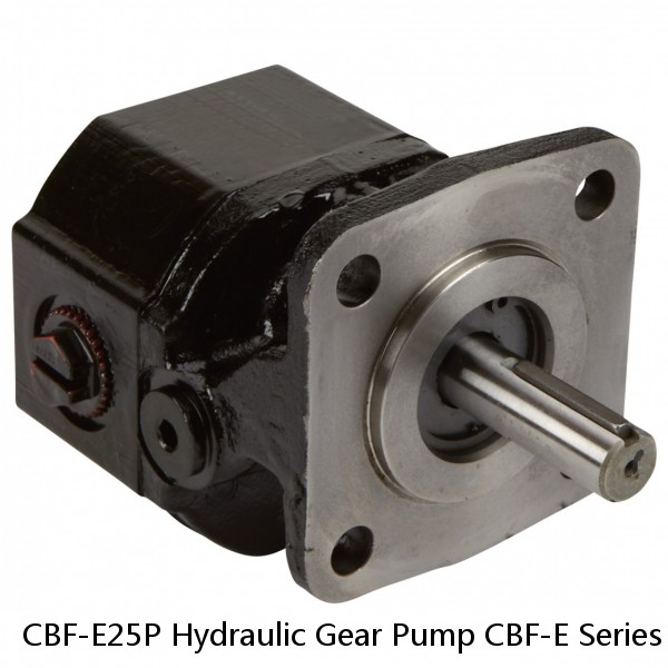 CBF-E25P Hydraulic Gear Pump CBF-E Series #1 small image