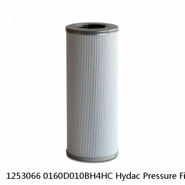 1253066 0160D010BH4HC Hydac Pressure Filter Element #1 small image