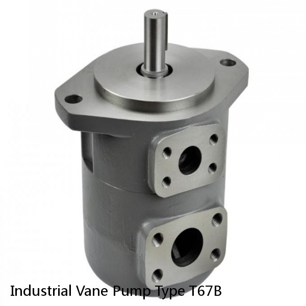 Industrial Vane Pump Type T67B #1 small image