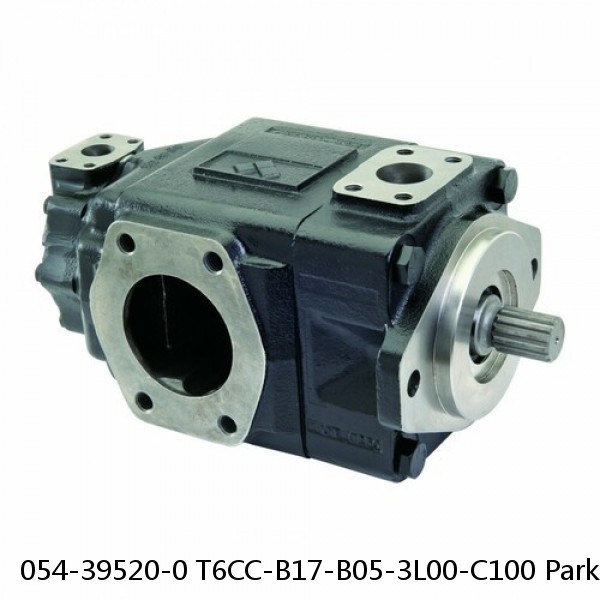 054-39520-0 T6CC-B17-B05-3L00-C100 Parker Denison Double Hydraulic Vane Pump #1 small image