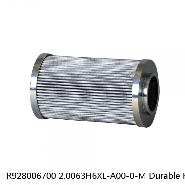 R928006700 2.0063H6XL-A00-0-M Durable Rexroth Filter Element