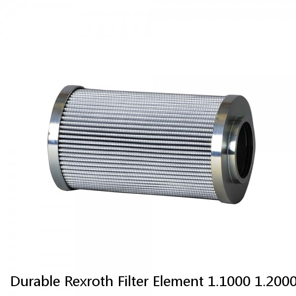 Durable Rexroth Filter Element 1.1000 1.2000 1.2500 Size For Non Mineral Oil #1 small image