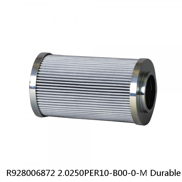 R928006872 2.0250PER10-B00-0-M Durable Rexroth Filter Element #1 small image