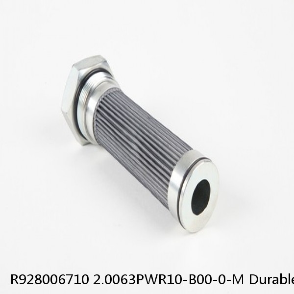 R928006710 2.0063PWR10-B00-0-M Durable Rexroth Filter Element