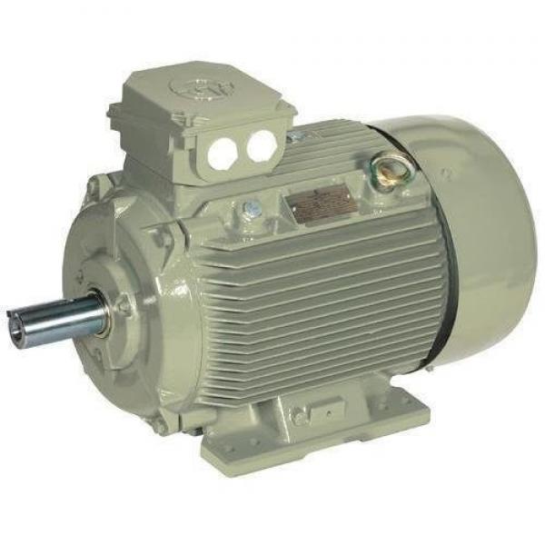 Three Phase Electric Motor / Asynchronous Motor MS Series With Aluminum Housing #1 image