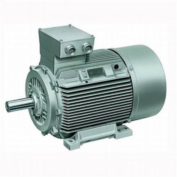 3 Phase Electric Motor / Induction Motor YE2 Series For Fan Pump Compressor #1 image