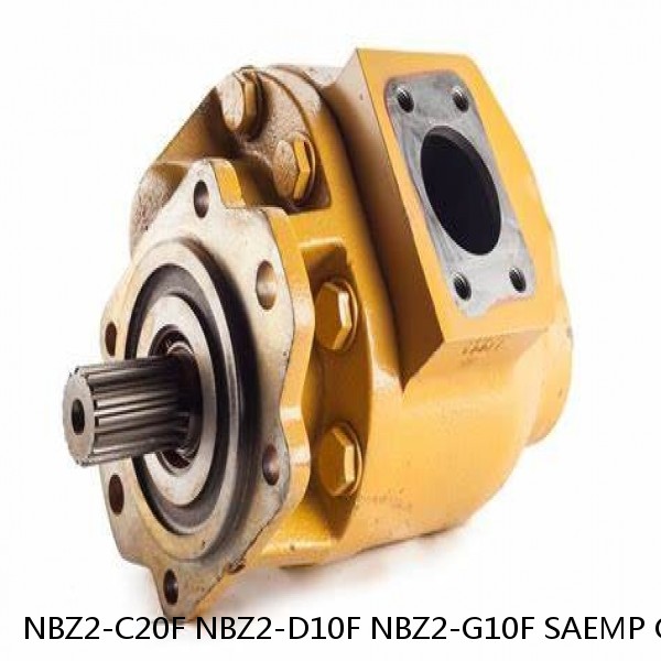 NBZ2-C20F NBZ2-D10F NBZ2-G10F SAEMP Gear Pump #1 image