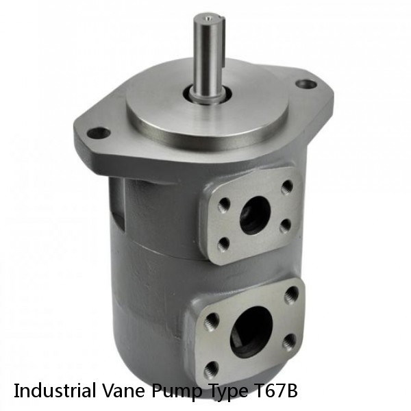 Industrial Vane Pump Type T67B #1 image