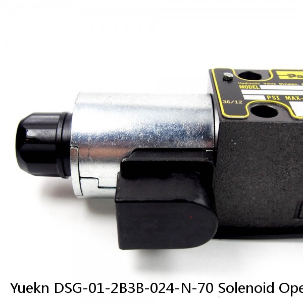 Yuekn DSG-01-2B3B-024-N-70 Solenoid Operated Directional Valves #1 image